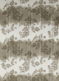 Frayed Stripes Printed Cotton Scarf -  Off- White Beige